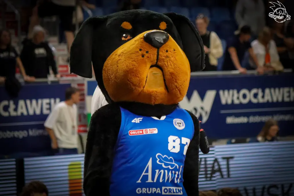 Galeria zdjęć z ostatniego dnia Turnieju Kasztelan Basketball Cup 2026 Włocławek. — zdjęcie 236
