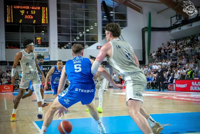 Galeria zdjęć 29 kolejki OBL Dziki Warszawa-Anwil Włocławek — zdjęcie 151