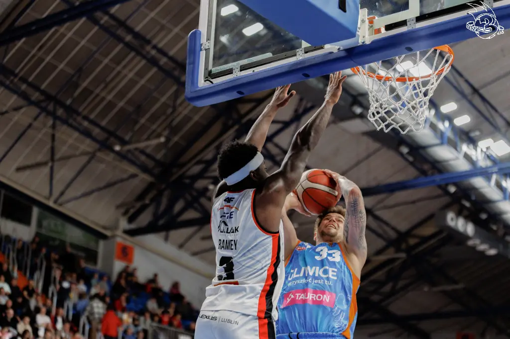 GALERIA ZDJĘĆ: PGE Start Lublin - Tauron GTK Gliwice — zdjęcie 6