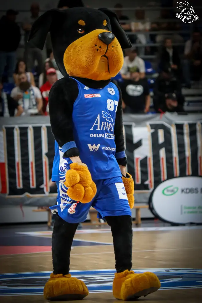 Galeria zdjęć meczu ENBL: Anwil Włocławek 🆚 Donar — zdjęcie 91