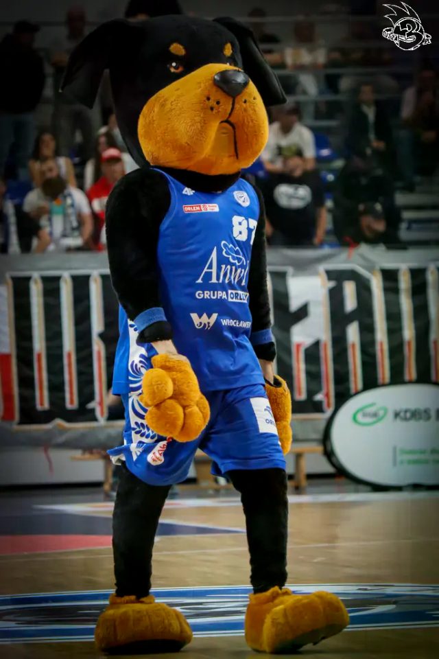 Galeria zdjęć meczu ENBL: Anwil Włocławek 🆚 Donar — zdjęcie 91