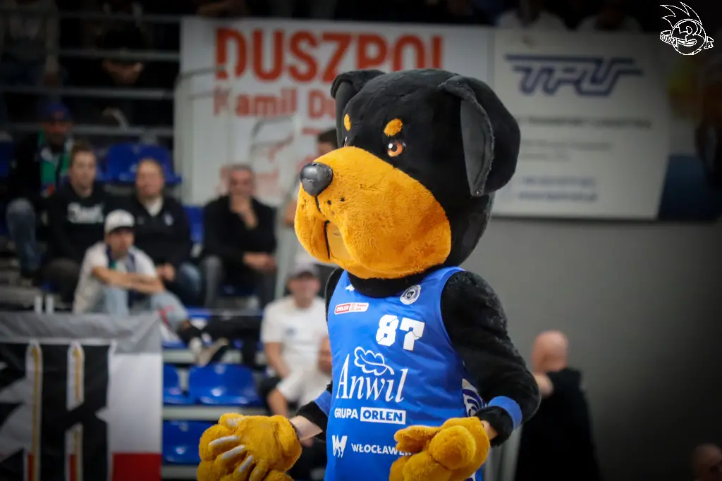 Galeria zdjęć meczu ENBL: Anwil Włocławek 🆚 Donar — zdjęcie 88