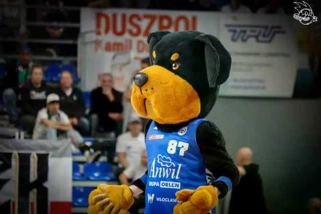 Galeria zdjęć meczu ENBL: Anwil Włocławek 🆚 Donar — zdjęcie 88