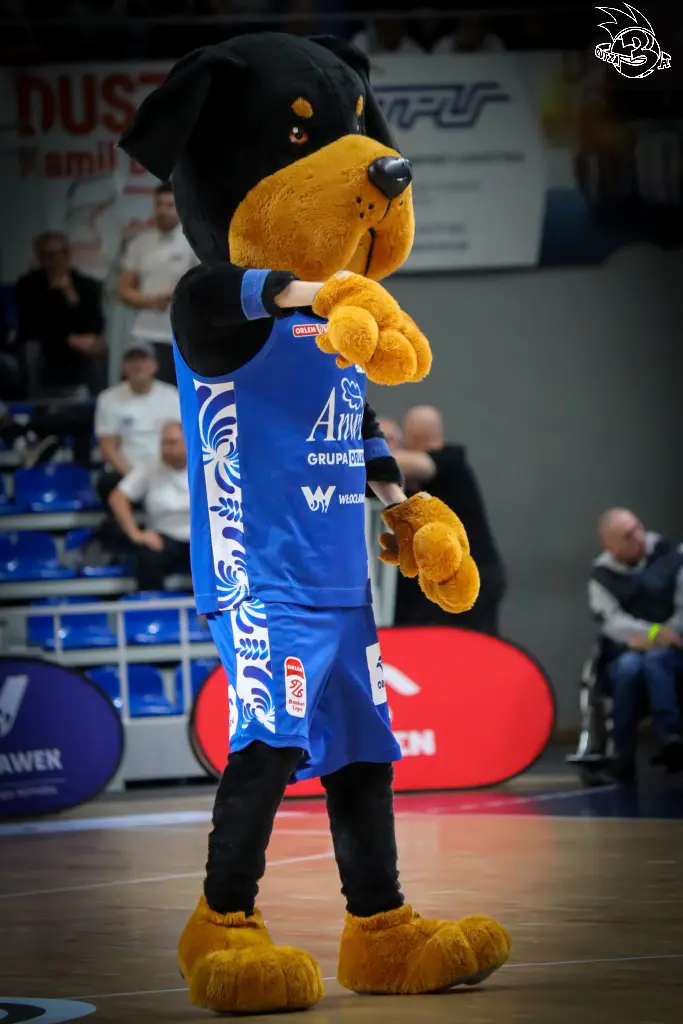 Galeria zdjęć meczu ENBL: Anwil Włocławek 🆚 Donar — zdjęcie 87