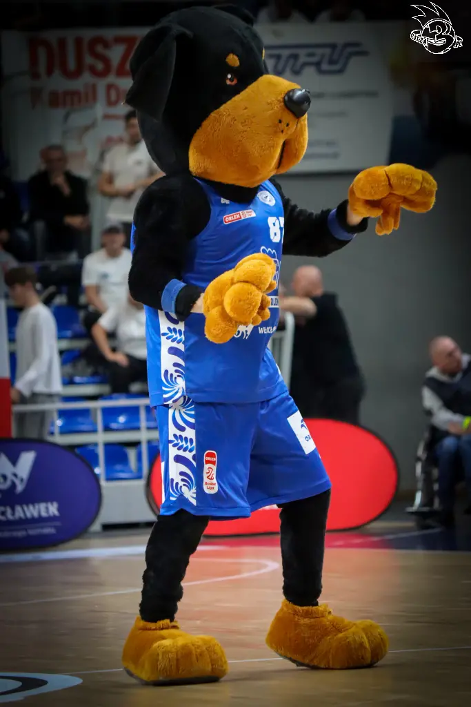 Galeria zdjęć meczu ENBL: Anwil Włocławek 🆚 Donar — zdjęcie 86