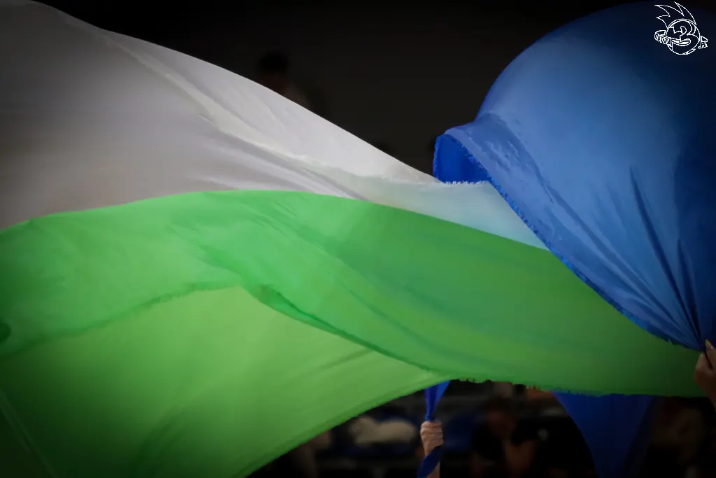 Galeria zdjęć meczu ENBL: Anwil Włocławek 🆚 Donar — zdjęcie 123