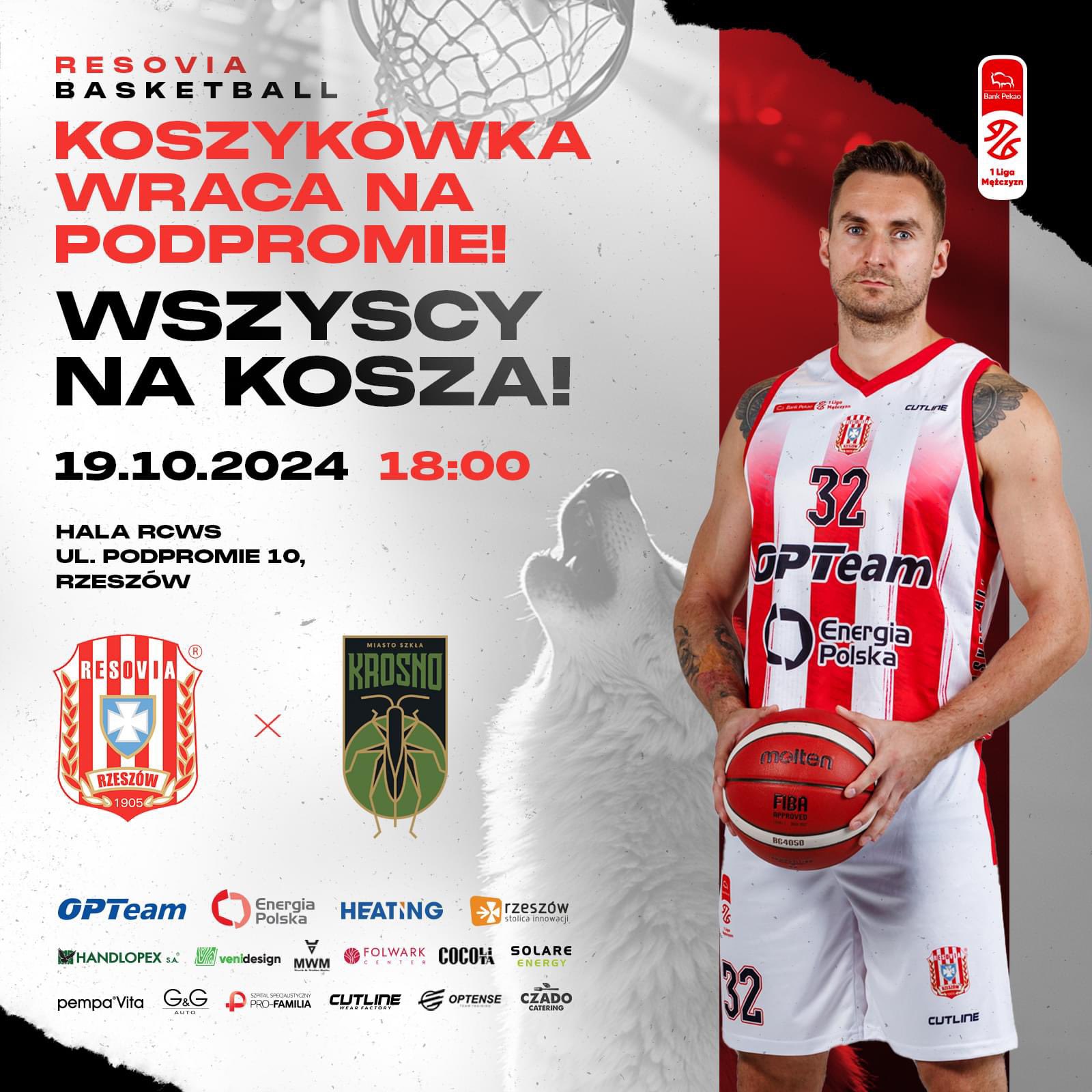 Grafika / Resovia Rzeszów